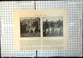Antique Old Print Waterloo Cup Dog Meeting Wild Night Winner Real Turk 1898