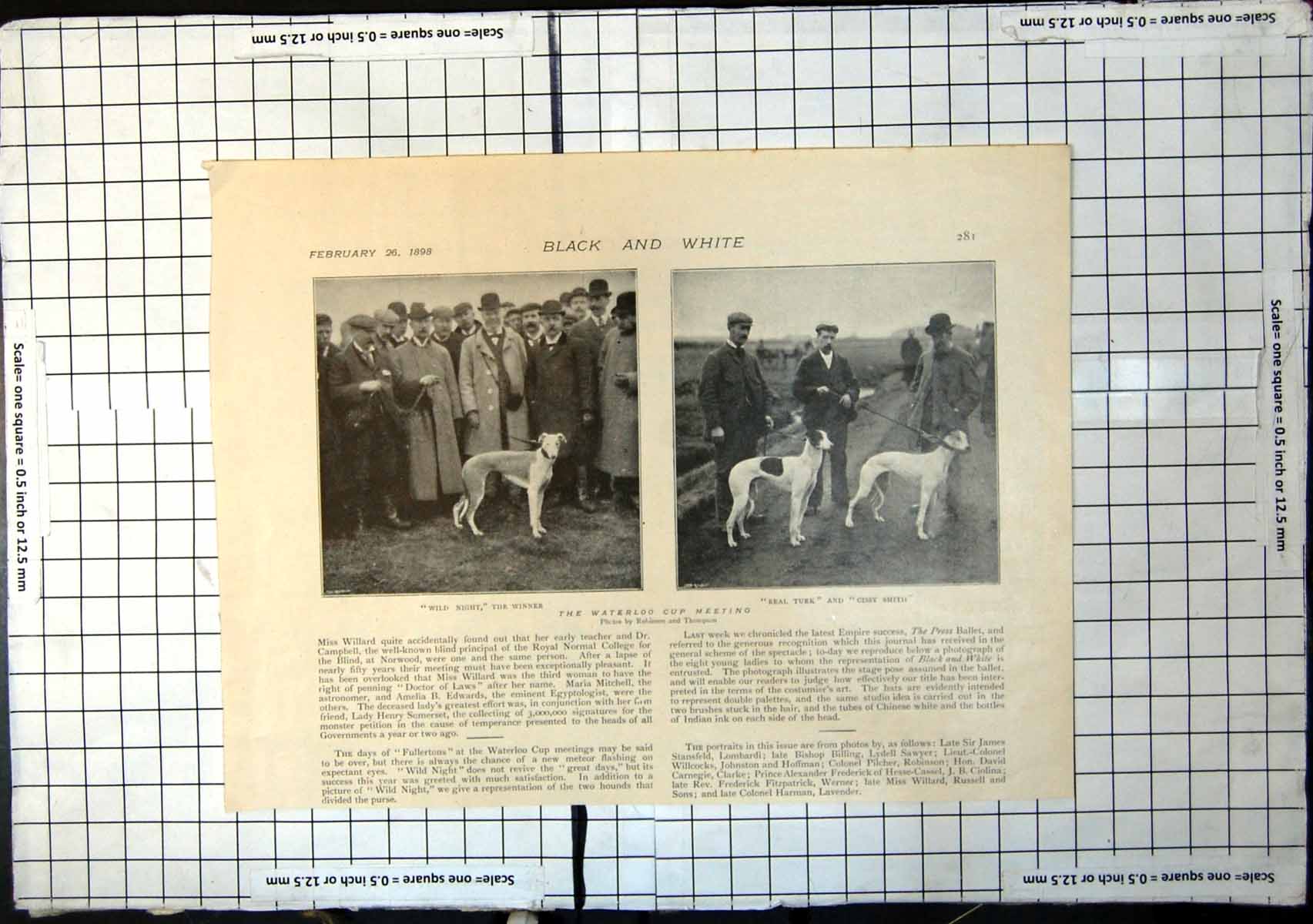 Antique Old Print Waterloo Cup Dog Meeting Wild Night Winner Real Turk 1898
