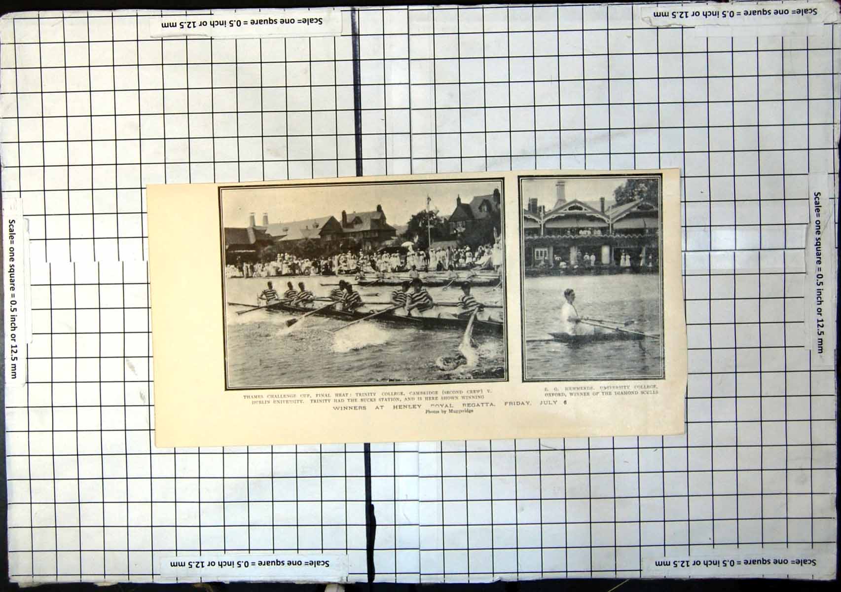 Antique Old Print Winners Henley Royal Regatta Trinity College Eg Hemmerde