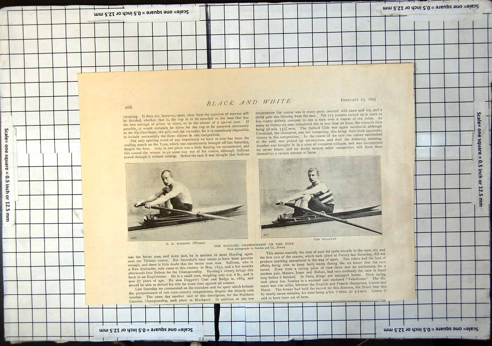 Old Print Sculling Championship Tyne Winner Cr Harding Tom Sullivan 1895 19th