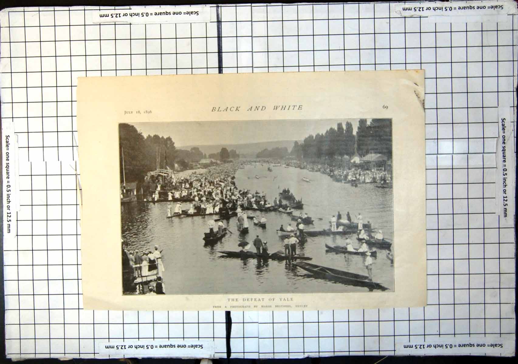 Antique Old Print Defeat Yale Rowing Competition Massive Crowds In Boats 1896