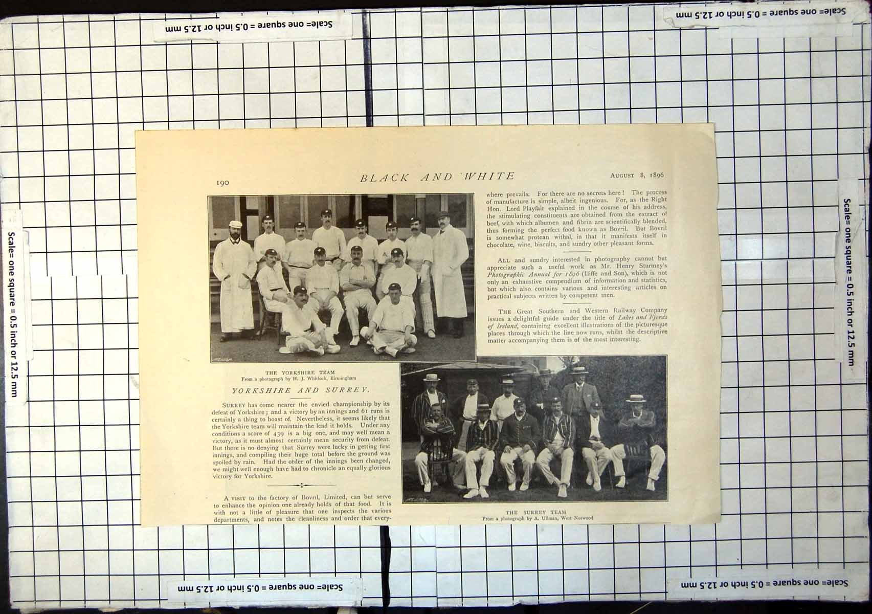 Original Old Antique Print Yorkshire Cricket Team Surrey Seated 1896 Victorian