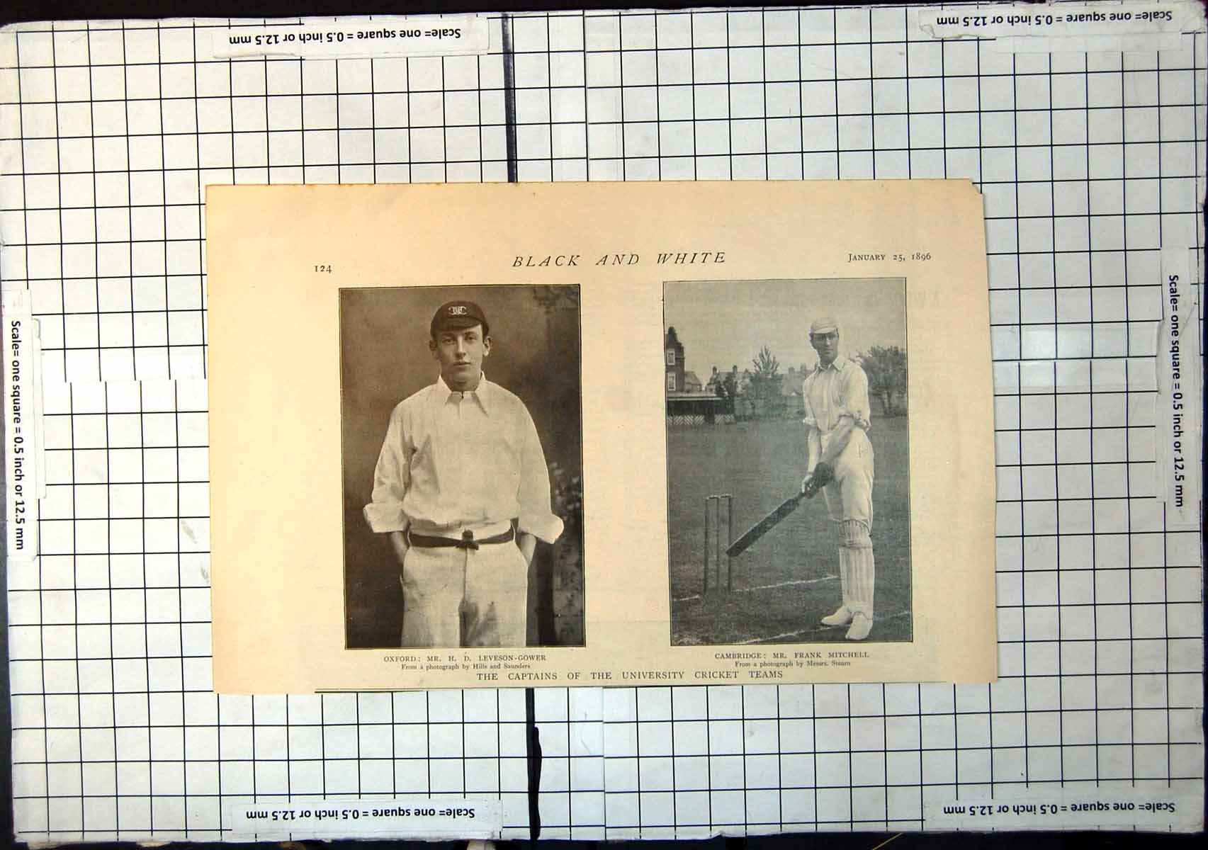 Antique Print Captains University Cricket Teams Leveson-Gower Mitchell 1896