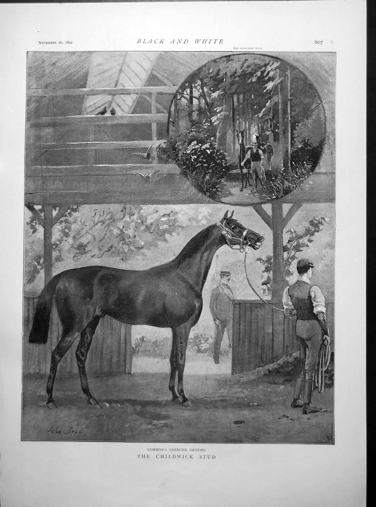 Antique Old Print Common Exercise Ground Childwick Stud Royal Hampton 1892