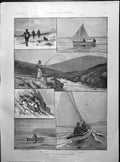 Old Print Sport Orkney Islands Rock Pigeons Rising Sun Inn Lynmouth 1892 19th