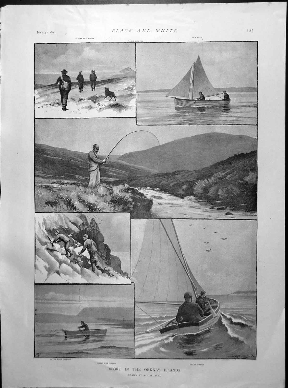 Old Print Sport Orkney Islands Rock Pigeons Rising Sun Inn Lynmouth 1892 19th