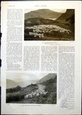 Old Print Bringing Sheep From High Ground A Devotee Sir Luke Fildes 1910 20th
