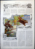 Old Print Colugo Flying Phalangists Dragon Fish Flight False & True 1910 20th