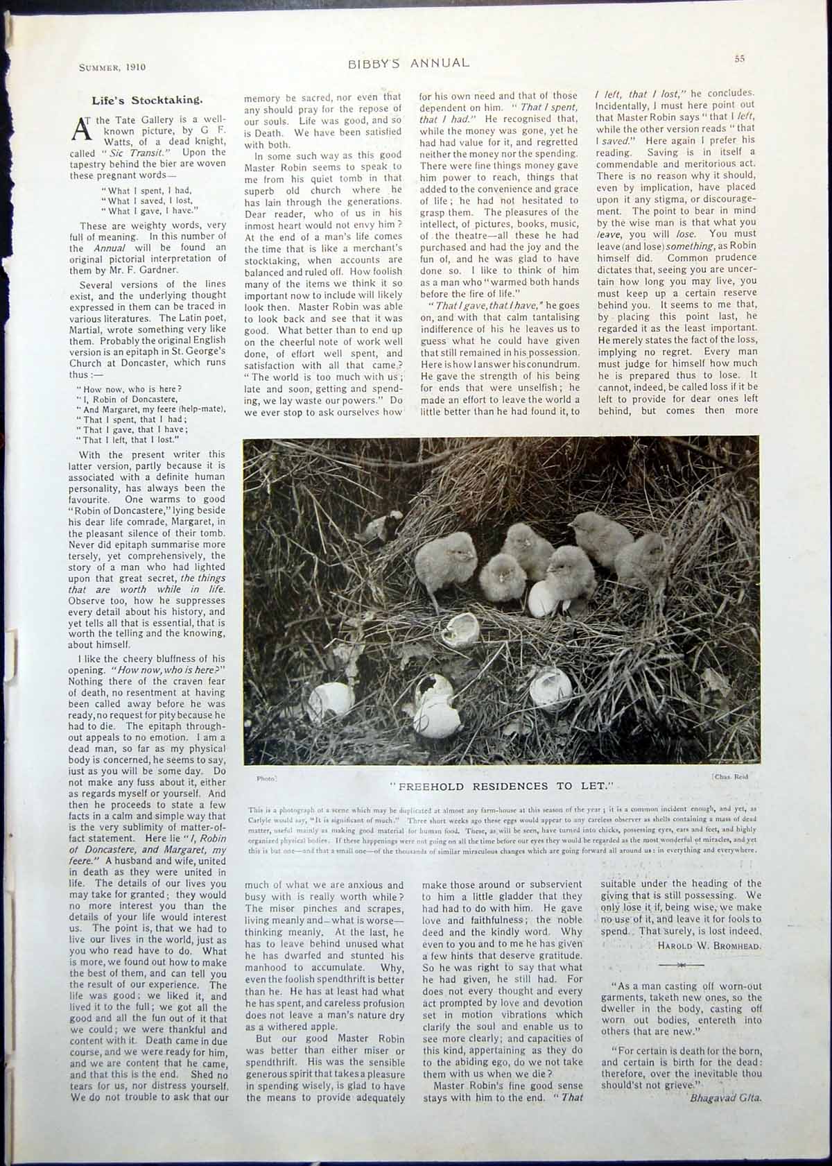 Old Antique Print Chicks Hatched Eggshells Thomas Eddleston Portrait 1910 20th