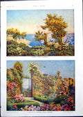 Antique Old Print Orange Trees Taormina Flowers Villa Caponni Bird Photo 1910