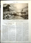 Antique Old Print Ferry On Loch J Farquharson Sheep Feeding Haystacks 1911 20th