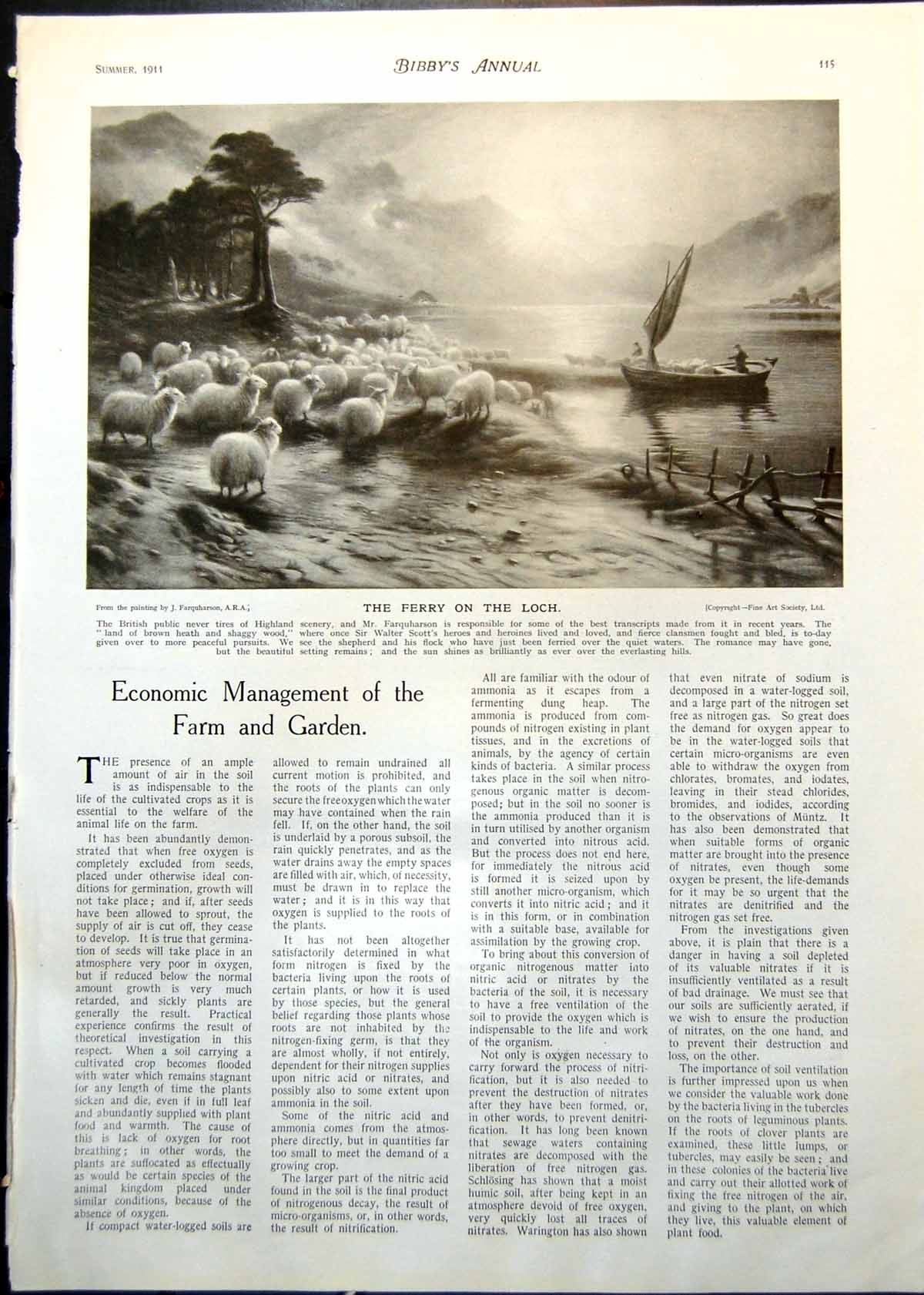 Antique Old Print Ferry On Loch J Farquharson Sheep Feeding Haystacks 1911 20th
