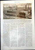 Antique Old Print Oil Cake Mill Factory Disaster Landseer Polar Bears 1912 20th