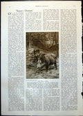 Antique Old Print Wild Boar From Painting Rosa Bonheur Rummaging Forest 1913