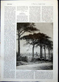 Antique Print Canterbury View Trees J Baird Dante Drinking River Light 1922