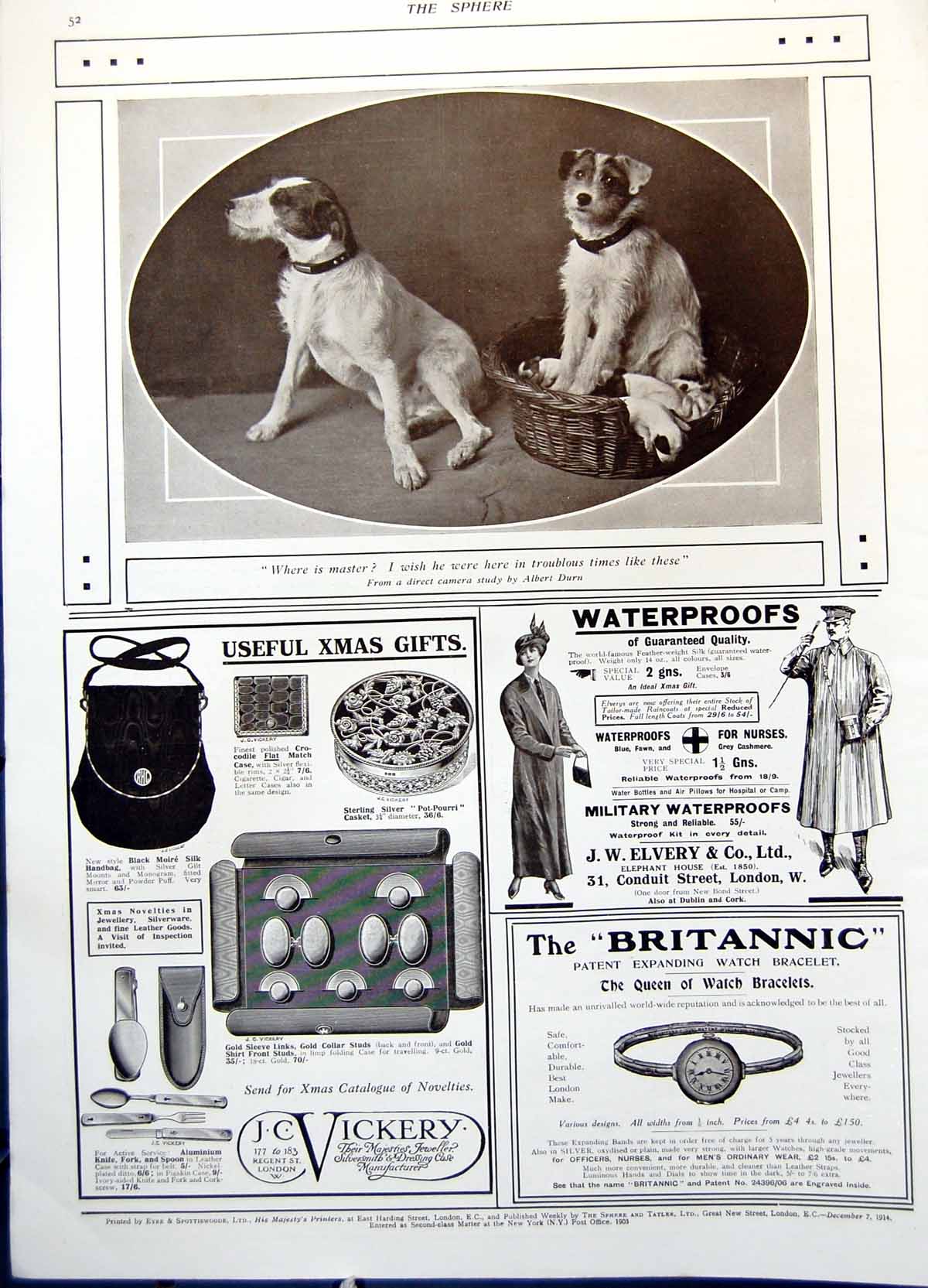 Old Antique Print Dogs Looking For Master Troublesome Times Basket 1914 20th
