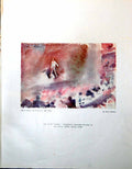 Old Print Harry Sheldon Act Iii Tosca Francesco Albanese Opera House 1947 20th