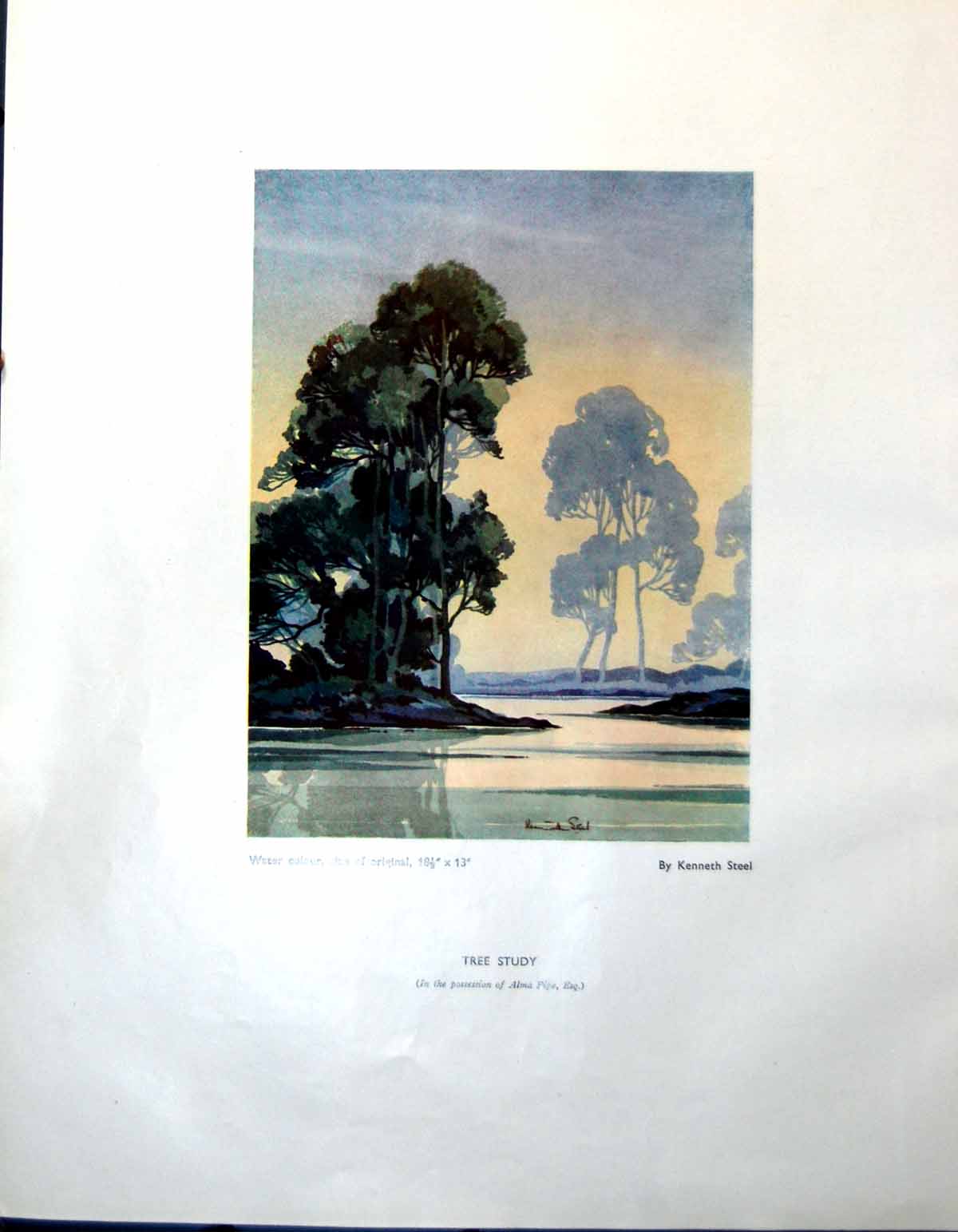 Original Old Vintage Print Tree Study Kenneth Steel The Field Sketch 1947 20th