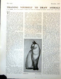 Original Old Vintage Print Siamese Cat Sitting F.G. Mories 1947 20th Century