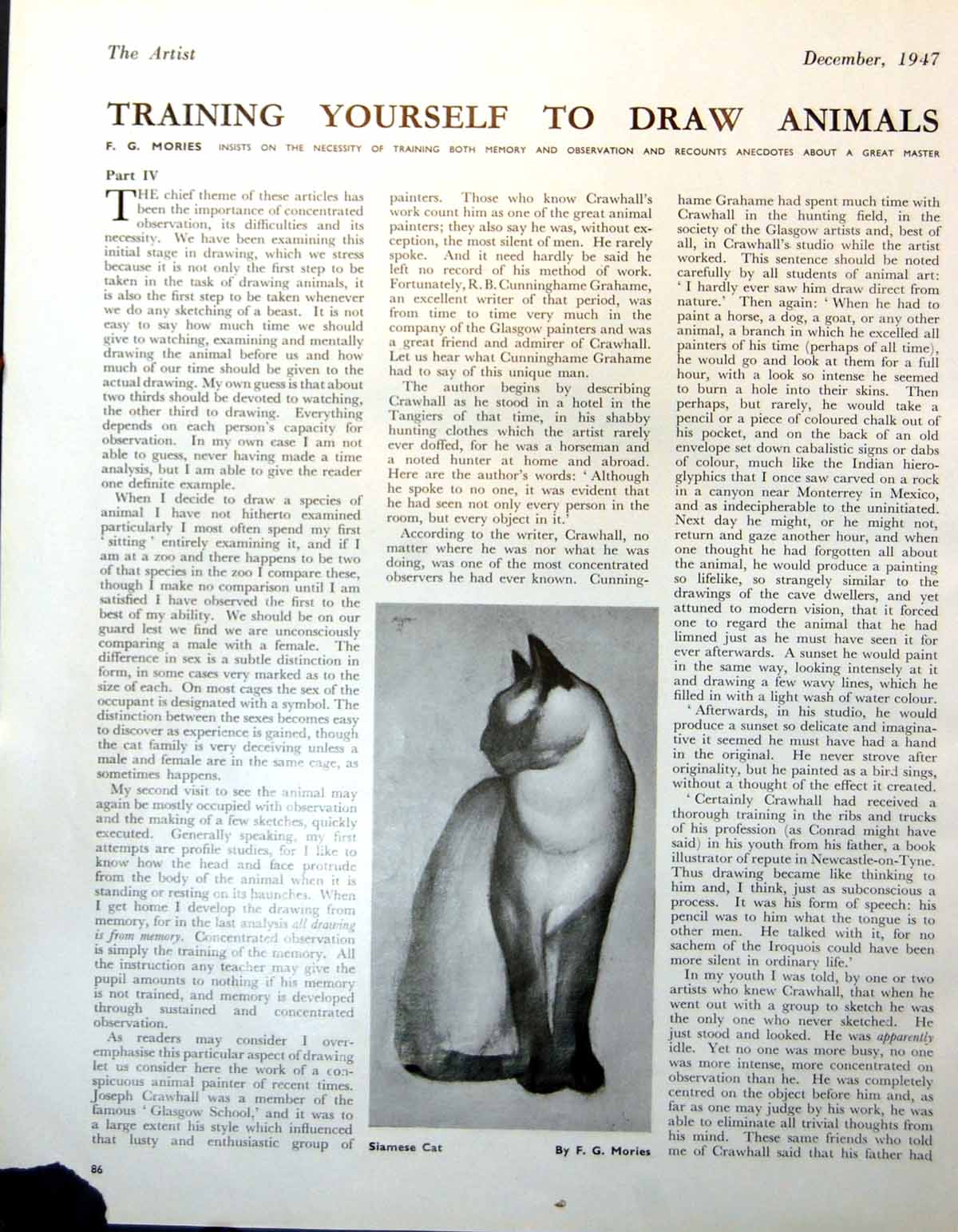 Original Old Vintage Print Siamese Cat Sitting F.G. Mories 1947 20th Century
