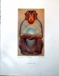 Old Vintage Print Simian God A Study Fg Mories From Crayon Drawing 1947 20th