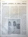 Original Old Vintage Print Studies Baboons Fg Mories Leopard 1948 20th Century
