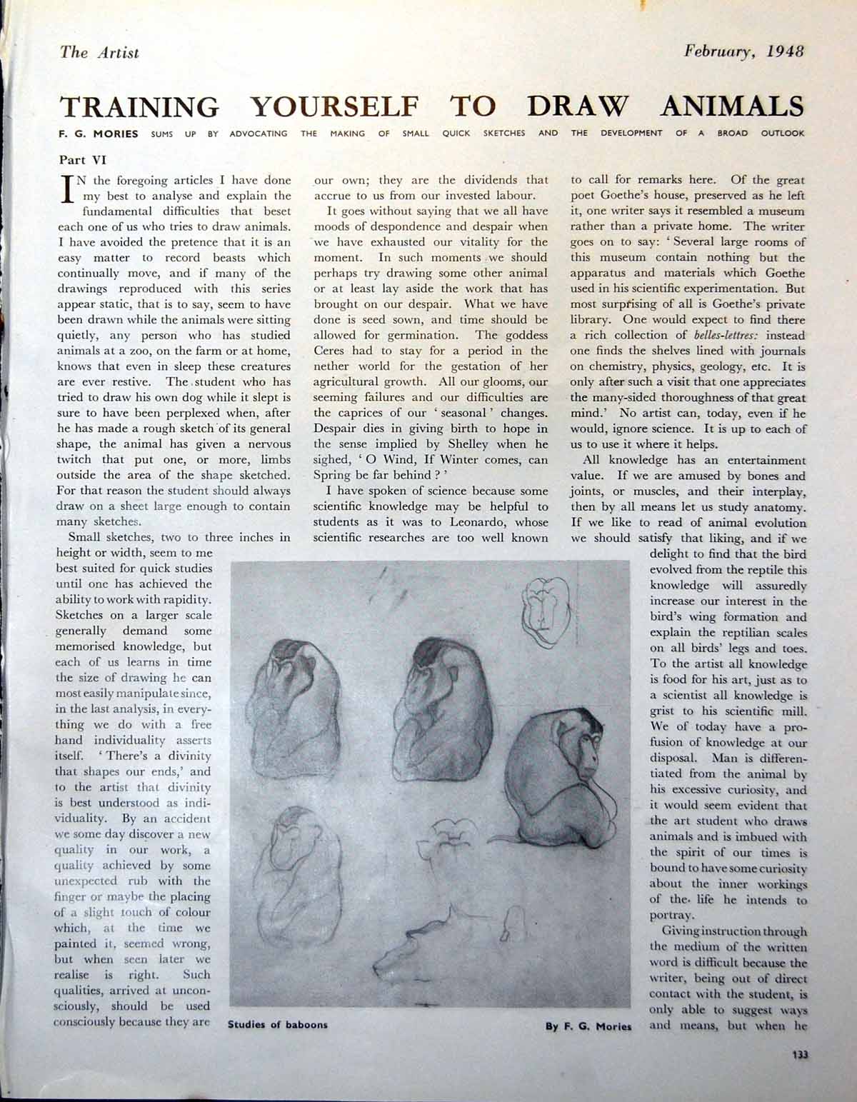 Original Old Vintage Print Studies Baboons Fg Mories Leopard 1948 20th Century