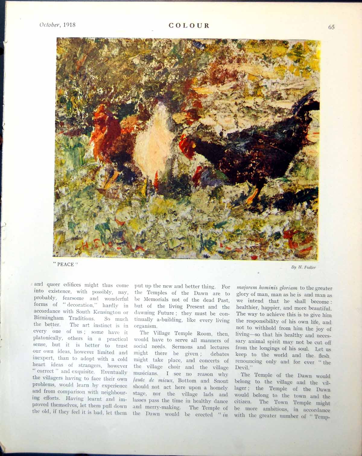 Old Peace H Fidler Hens Gen Jean Meiser Belgian Army Paul Kerchove 1918 20th