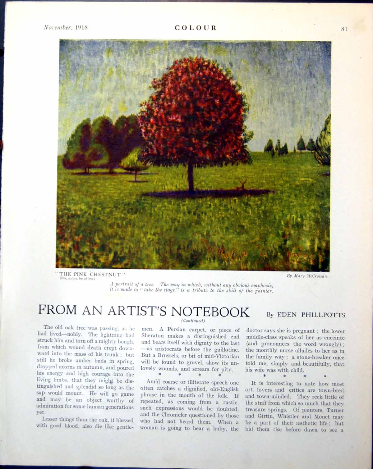 Old Print Pink Chestnut Mary Mccrossan Tree Pink & Black R Erlanger 1918 20th