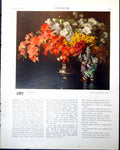 Old Vintage Print Azaleas Vase H Davis Richter The Student M Gstein 1917 20th