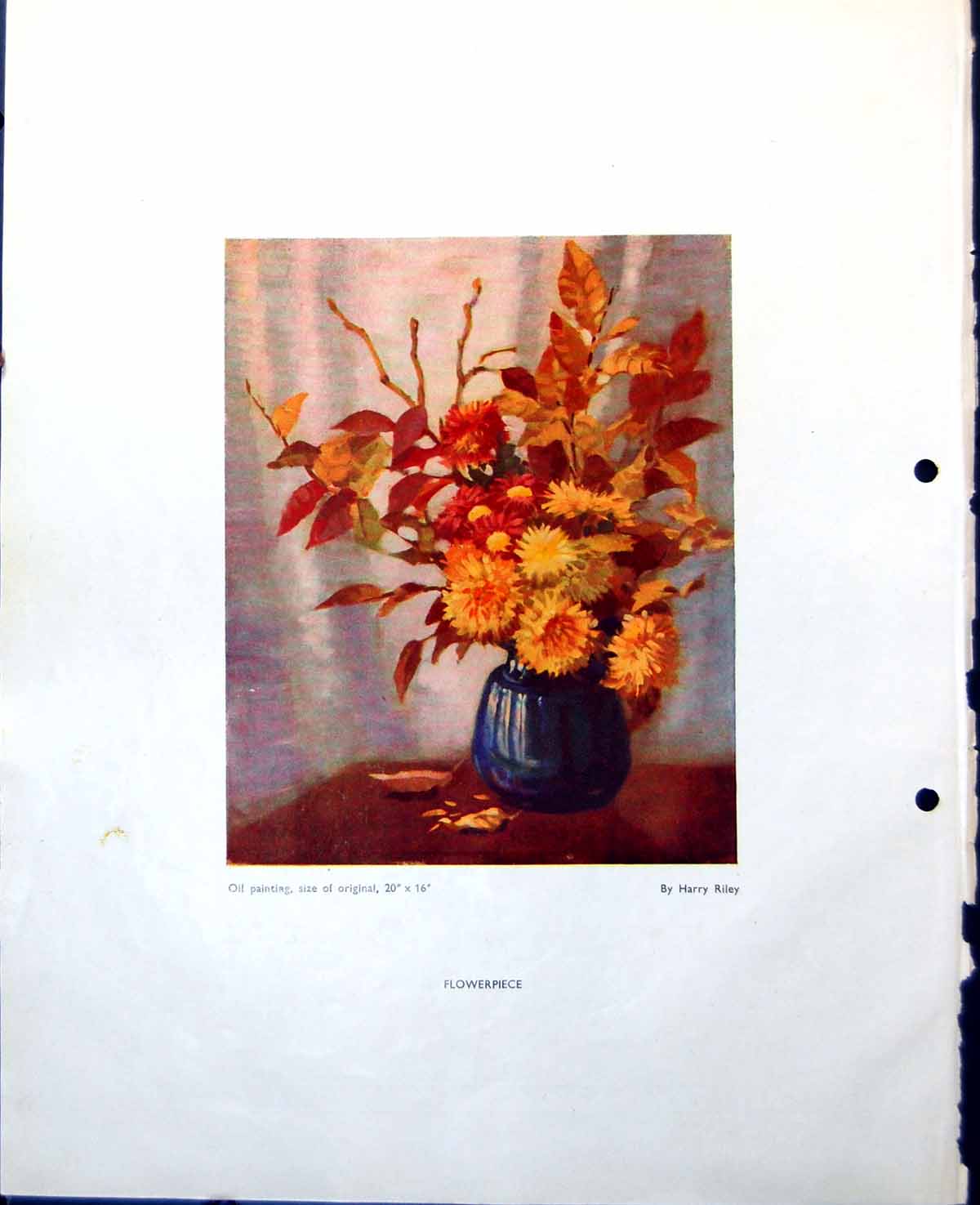 Old Vintage Print Flowerpiece Harry Riley Portrait Lady John Hopper 1948 0 20th