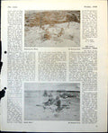 Old Gathering Wheat Anthony Gross Desert Patrol Picture Gallery 1948 0 20th
