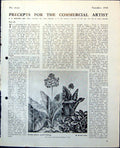 Old Primula Nutans Russell Leslie Still Life Scraperboard Rl Bates 1948 0 20th