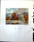 Old Print Wharfedale Bright Itervals Wh Allcott Landscape Pw Steer 1949 20th