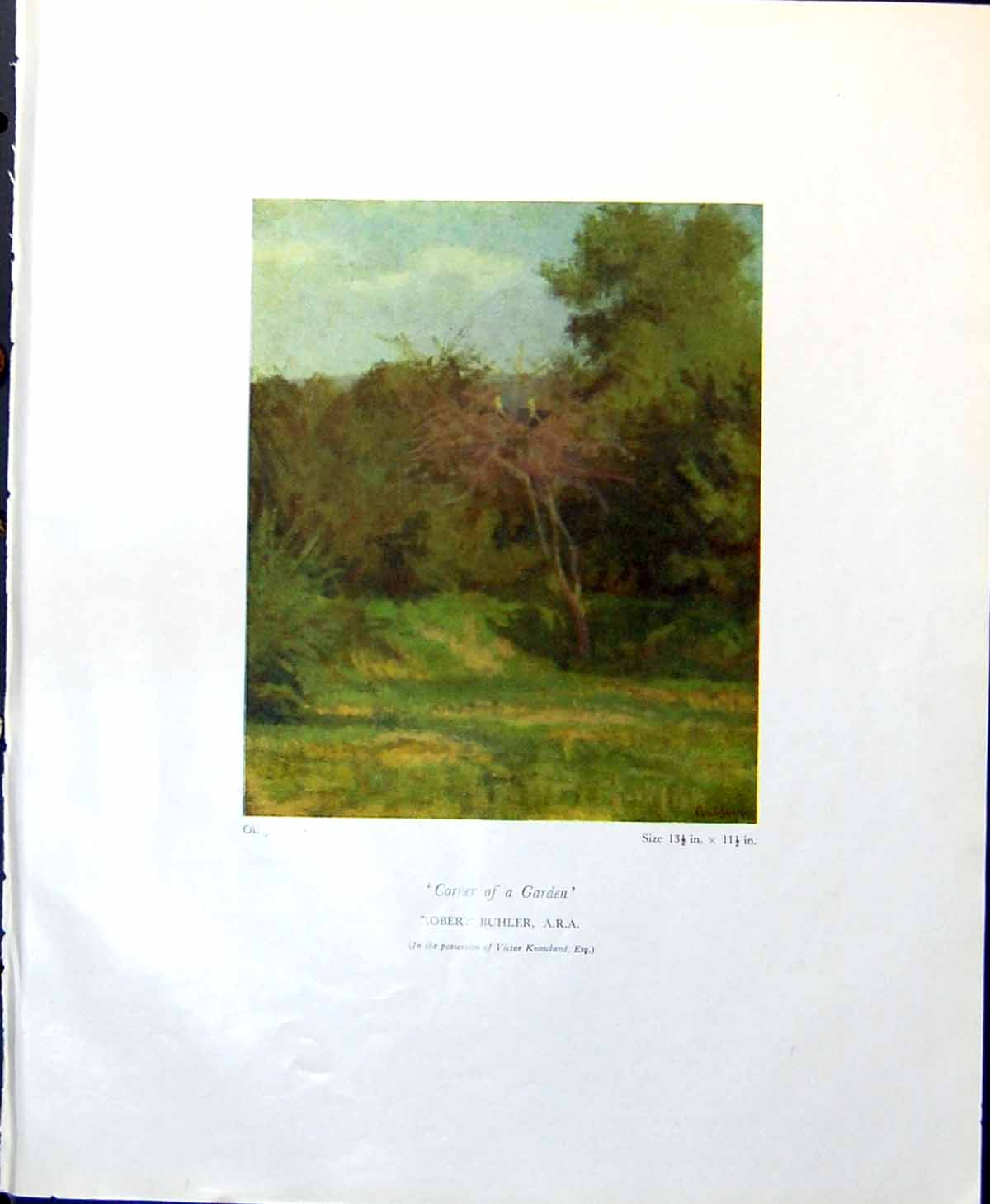 Old Vintage Print Corner A Garden R Buhler Trees Grass Shades Green 1949 0 20th