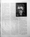Antique Old Print Roses Stanley Grimm Specimen Beam Sea Charles Pears 1949 0