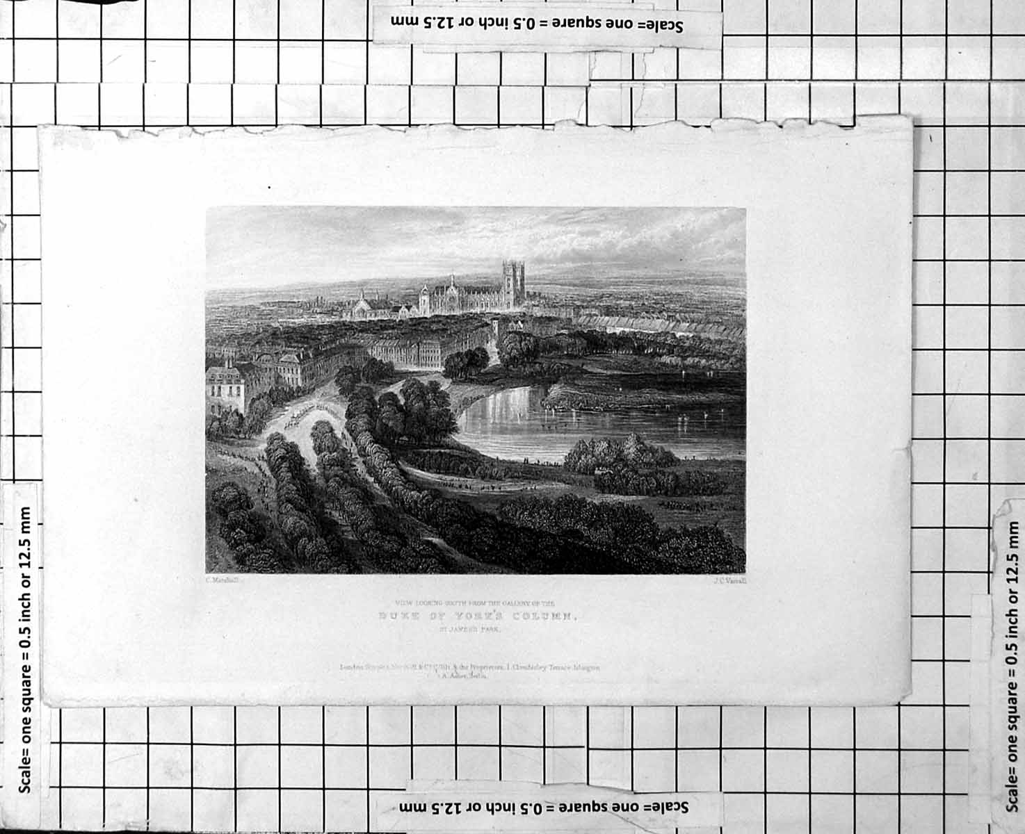 Antique Old Print Looking South From Duke York'S Column Over St James'S Park