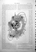 Antique Old Print Jewellery Parisian Diamond Co. Lace Trimmed Gown Opera 1900