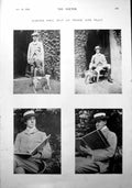 Old Antique Print Clever Phil May At Work And Play Dog Garden Book 1900 20th