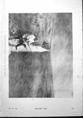 Antique Print Flight Shooting Behind Sea Wall Wash Salmon-Fishing Tay 1900 20th