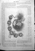 Antique Print Jewellery Parisian Diamond Co. Fur-Trimmed Costume Cloak 1900