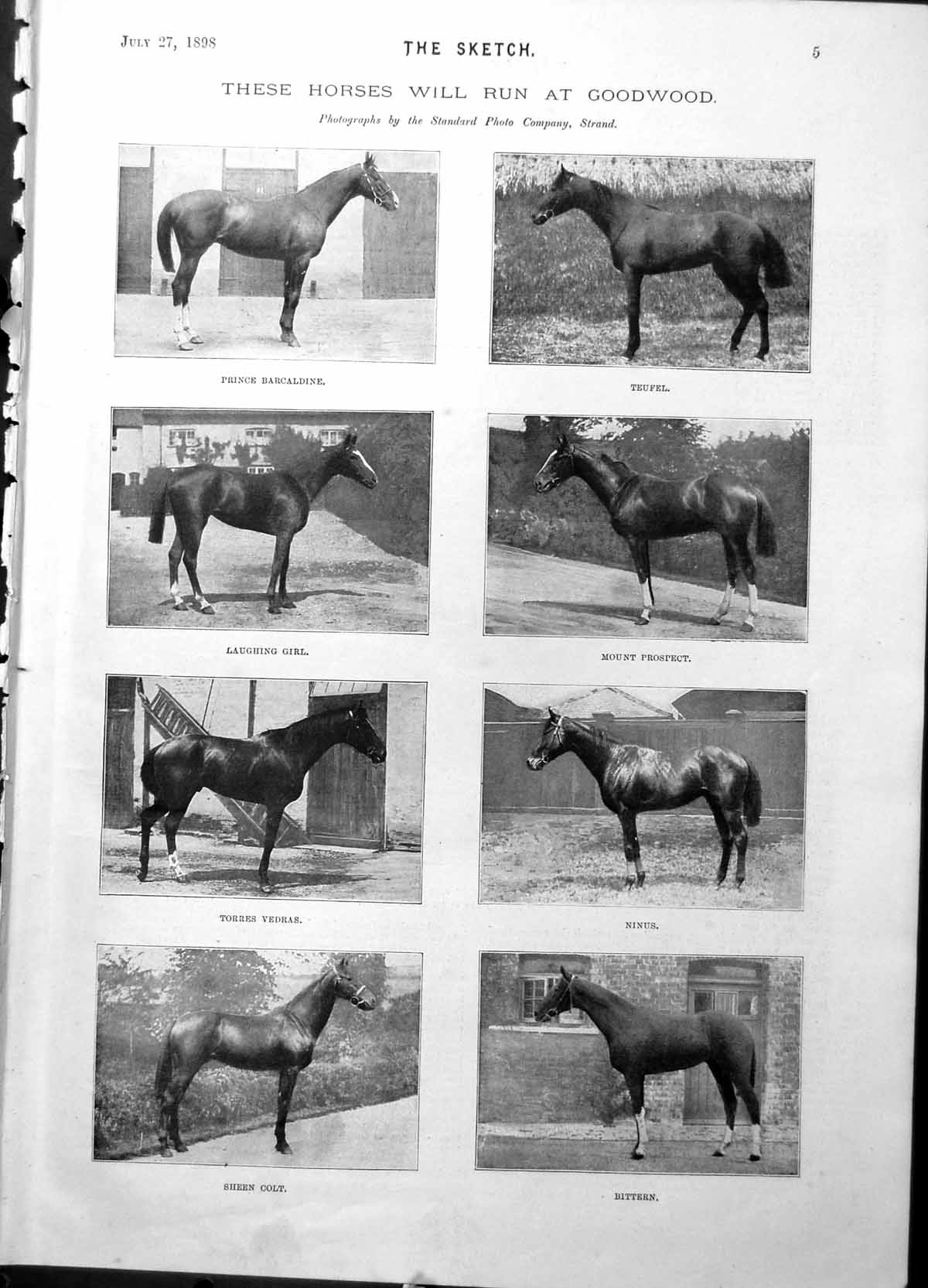 Old Print Horses Goodwood Teufel Mount Prospect Yachts Shelley Byron 1898 19th