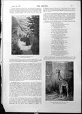 Antique Old Print Labrador South Devon Giraffe Lord Chancellor Erskine 1898
