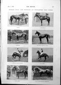 Old Horses Doncaster Castle Spiez Peak Dr Hopkinson Fell Arolla 1898 Victorian