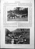 Old Print Out Grass Horses Field Annual Bath Sheep Lambs Waterwheel 1898 19th