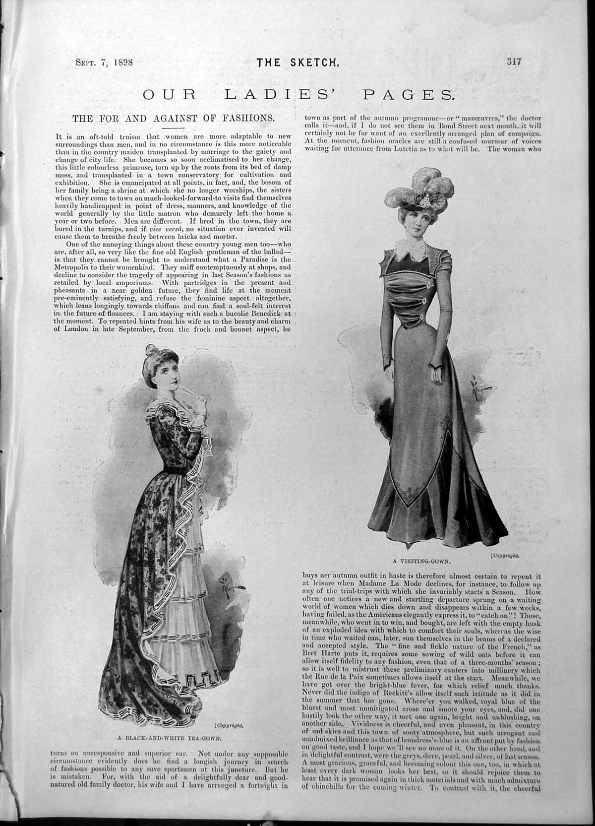 Old Tea Gown Visiting Gown Newest Hat Cerberus Dog Look Hercules 1898 Victorian