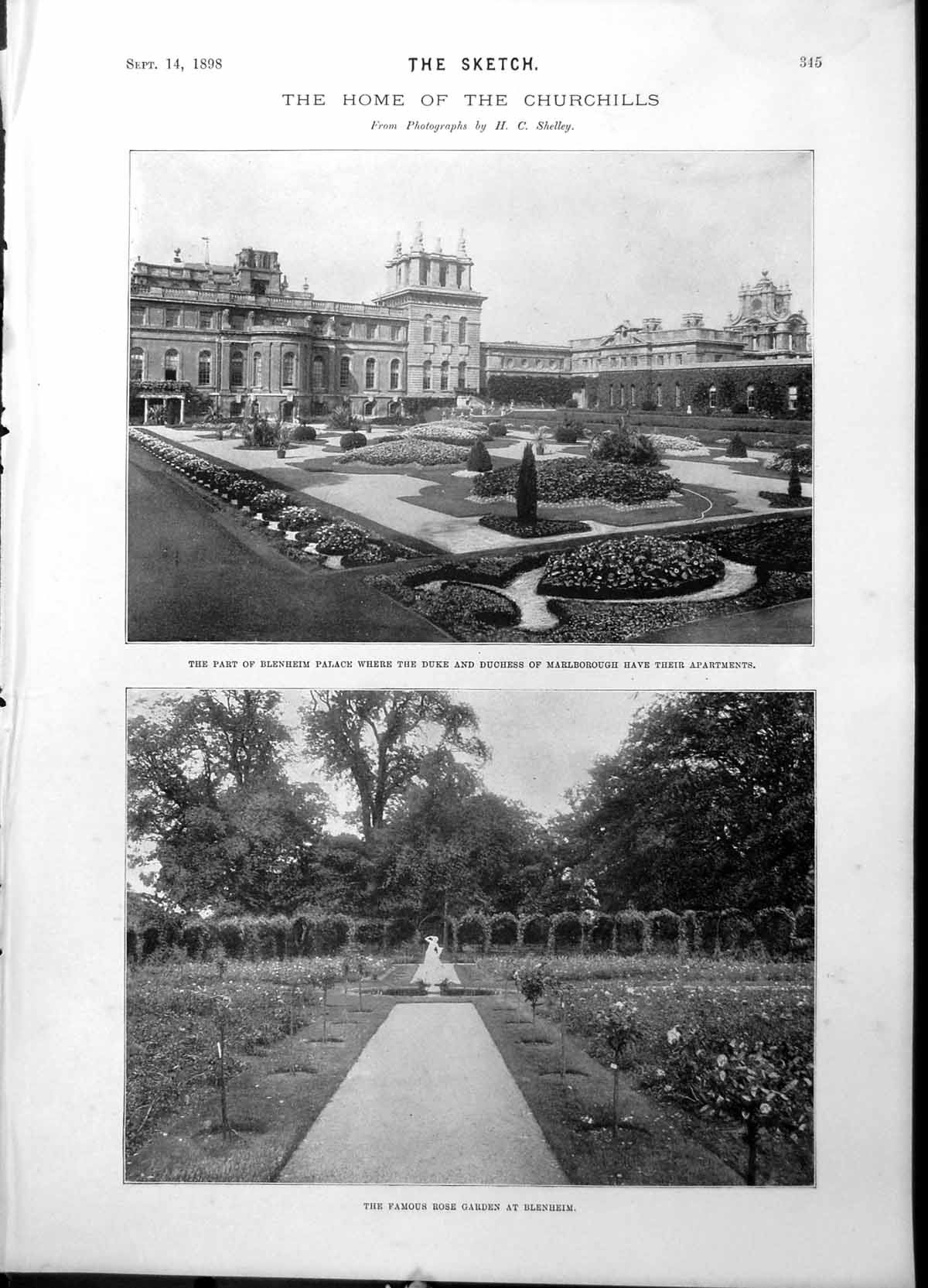 Antique Old Print Blenheim Palace Duke Duchess Marlboriugh Fountain Dogs 1898