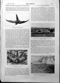 Antique Print Swift Hanging Bush Villa Hanborough Floor Wrought Romans 1898