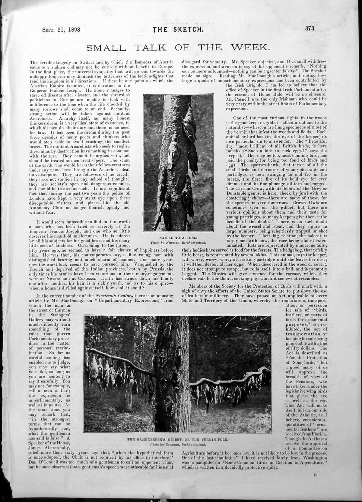 Old Print Gamekeepers Vermin Pole Ladder Children Pensioners Dunmow 1898 19th