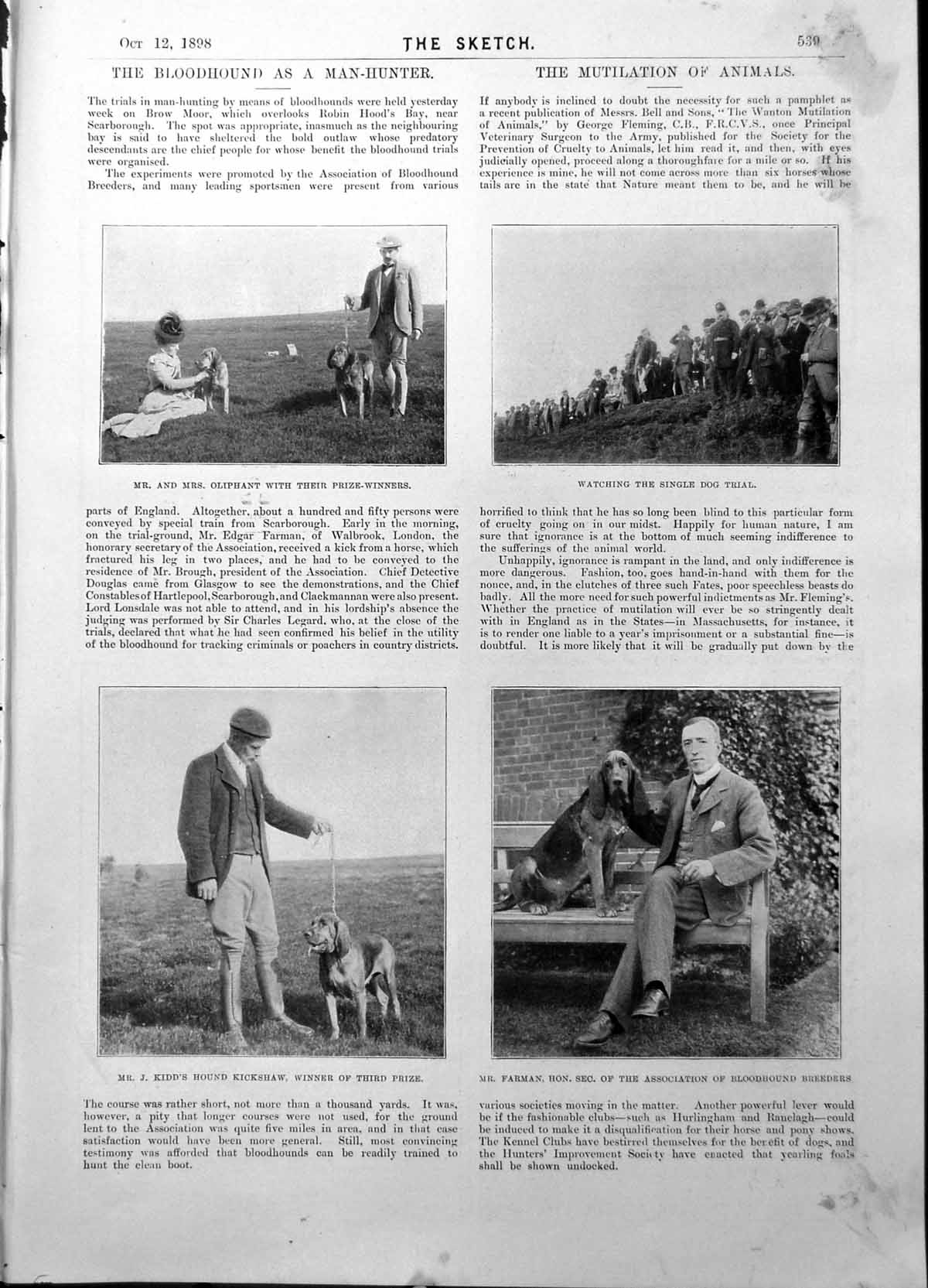 Antique Old Print Bloodhounds Dog Trial Mr Farman Golf Vardon Pulford 1898 19th